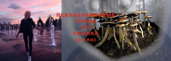 COCAINE Алексеевка