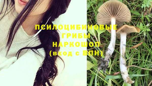 MESCALINE Алзамай
